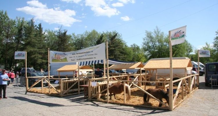 Ferma Animalelor la Baby Expo