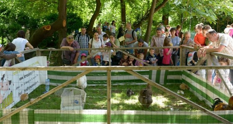 Mulțime care admiră animalele în Cișmigiu