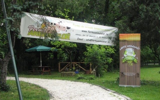 Ferma Animalelor s-a mutat pentru o zi la umbra copacilor din Cișmigiu